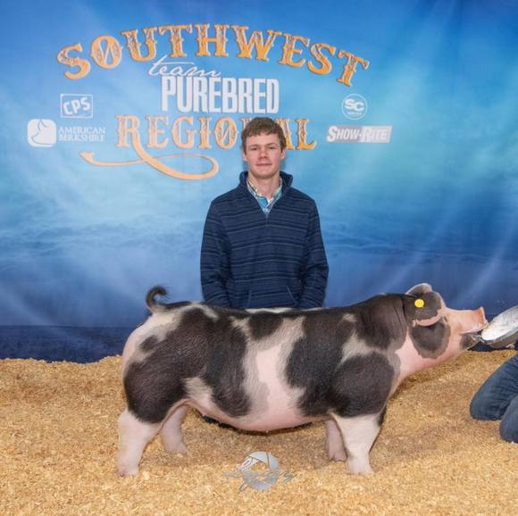 Meet your Posher, Dillon - Picture 1 of 1